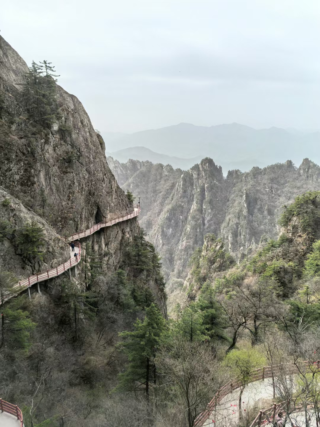 2b995ff0c19e9c3a5baaad56894cdca