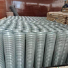1/4 inch square hole galvanized welded wire mesh