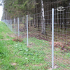 Factory Direct Galvanized Field Fence – Woven Wire Livestock Fencing for Farm, Cattle, Sheep & Horse | Anping Manufacturer with 30+ Years Experience
