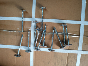 Hot-Dip Galvanized Umbrella Nails: The Rustproof Solution for a Strong, Secure Grip on Tropical Roofs.