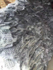 Hot-Dip Galvanized Umbrella Nails: The Rustproof Solution for a Strong, Secure Grip on Tropical Roofs.