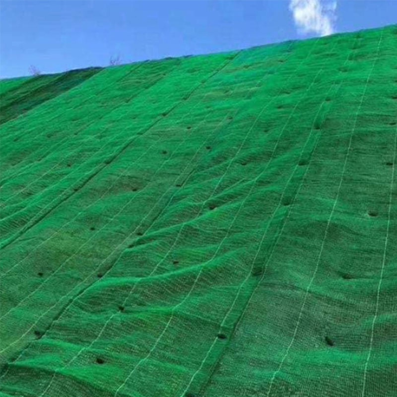 Erosion Control Geosynthetics Plastic Netting Open Structure 3D Geomat