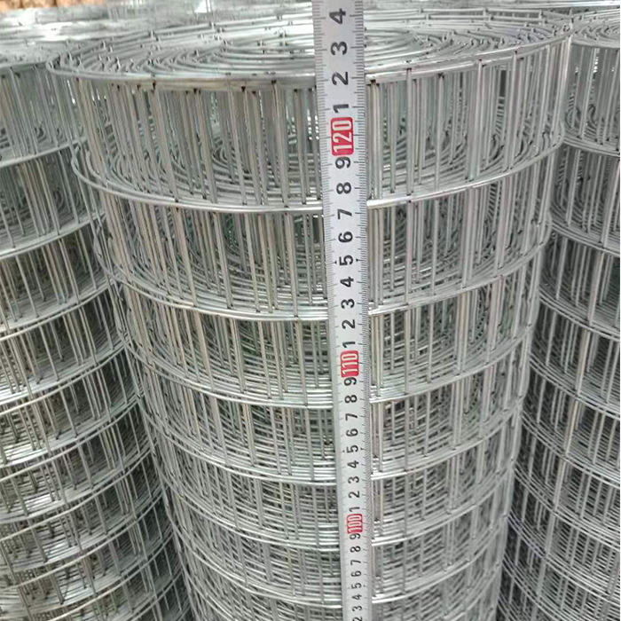 3ft x 100ft hot dip galvanized welded wire mesh gauge 16