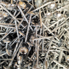 Hot-Dip Galvanized Umbrella Nails: The Rustproof Solution for a Strong, Secure Grip on Tropical Roofs.